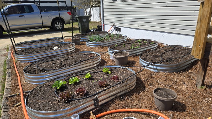 20260331_145312.jpg 20260331_145312.jpg