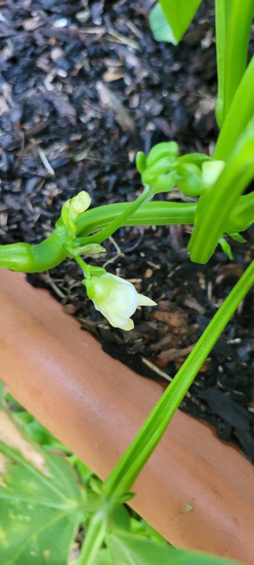 20260331_193431.jpg 20260331_193431.jpg