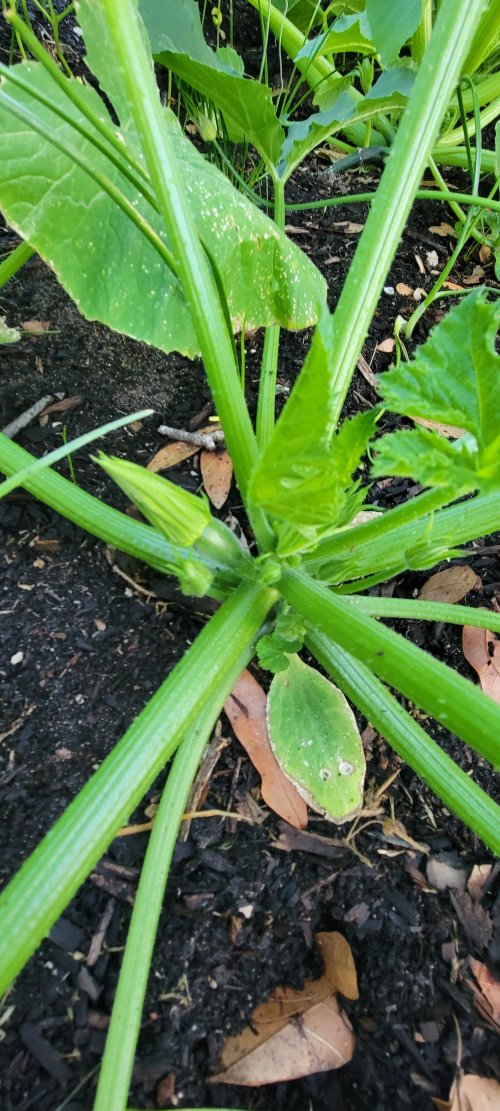 20260331_193519.jpg 20260331_193519.jpg