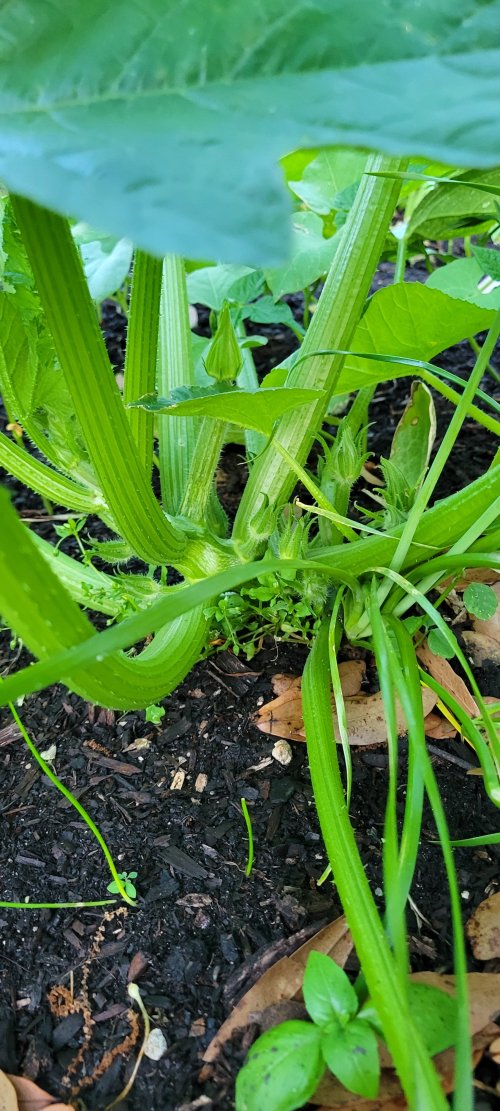 20260331_193556.jpg 20260331_193556.jpg