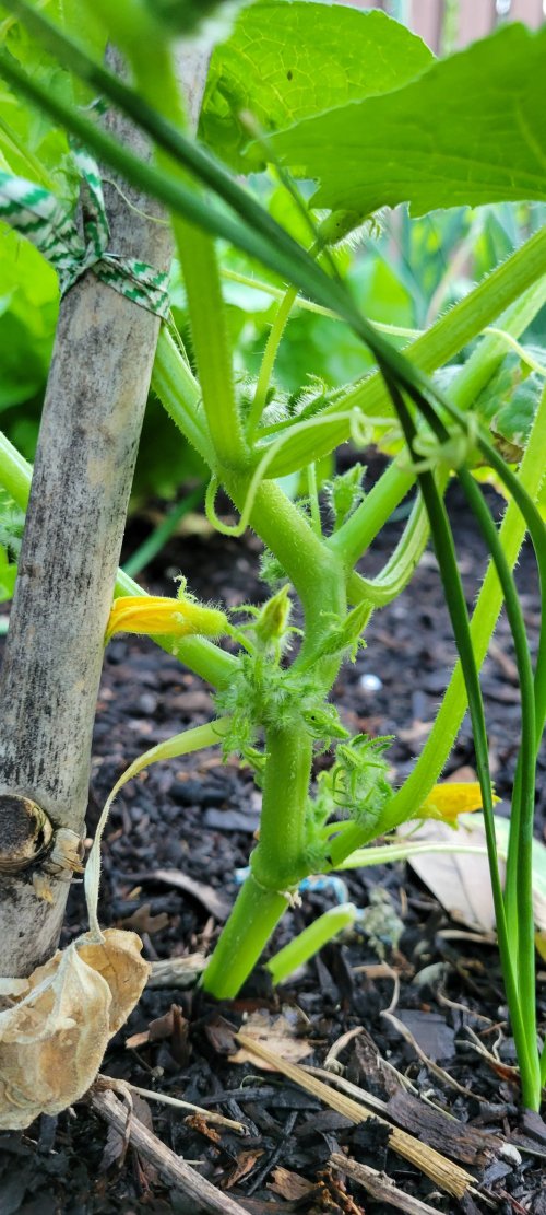 20260331_193717.jpg 20260331_193717.jpg