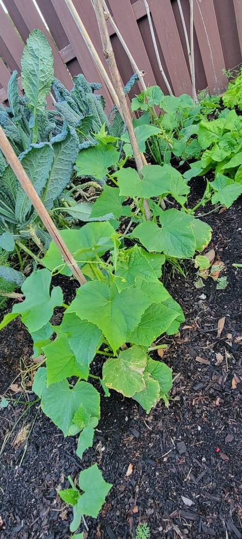 20260331_193443.jpg 20260331_193443.jpg