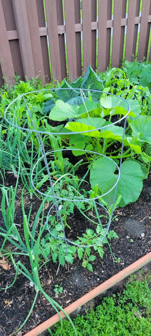 20260331_193959.jpg 20260331_193959.jpg