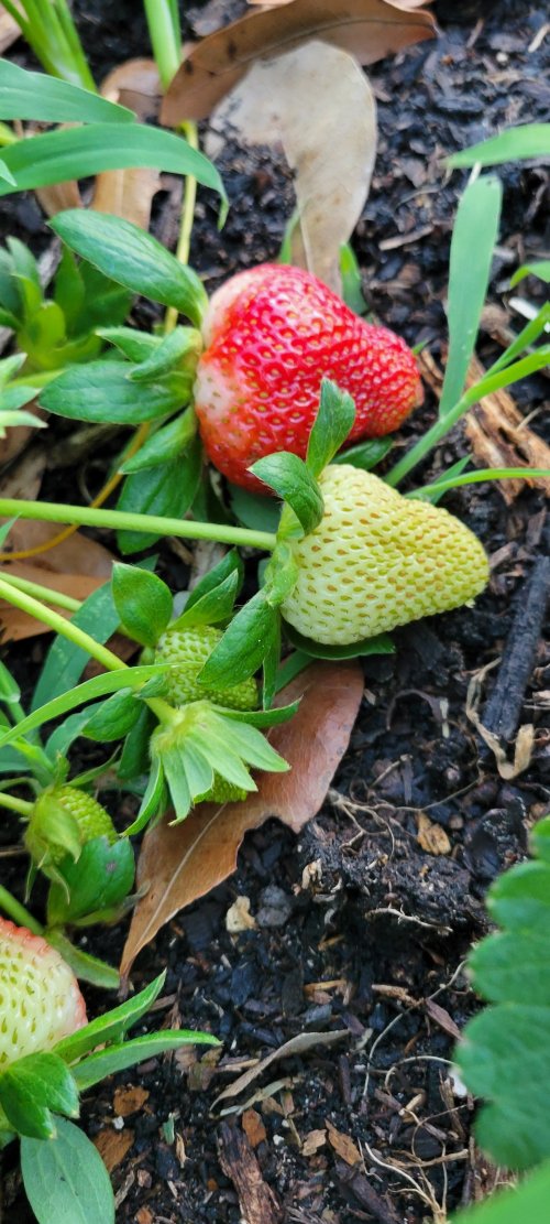 20260331_193655.jpg 20260331_193655.jpg