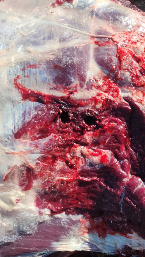 Snapchat-962091273 (1).jpg