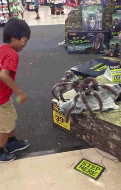 1775059478999.gif 1775059478999.gif