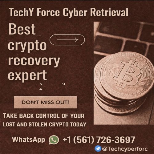 Which Reliable Bitcoin Recovery Experts.jpeg