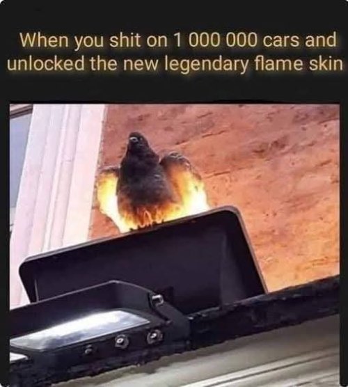FB_IMG_1775329375292.jpg