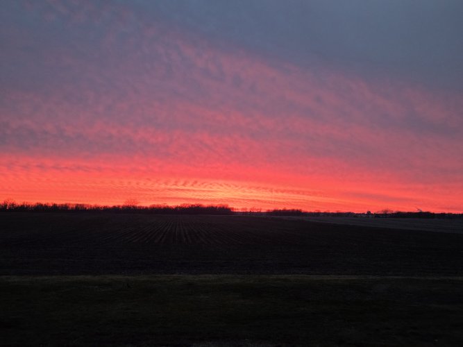20260320_192257.jpg