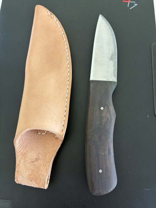 IMG_4314.jpeg IMG_4314.jpeg