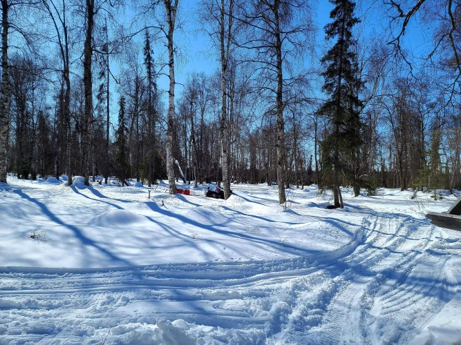 20210411_111521.jpg