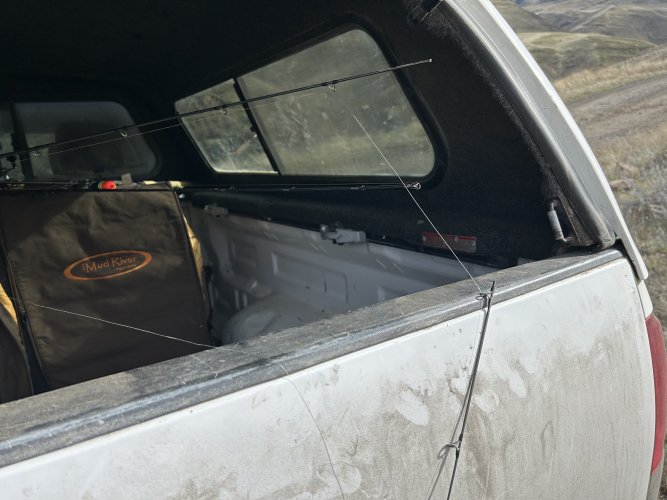 IMG_4125.jpeg IMG_4125.jpeg