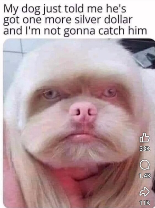 1775484465707.png 1775484465707.png