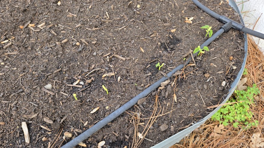 20260407_085937.jpg 20260407_085937.jpg