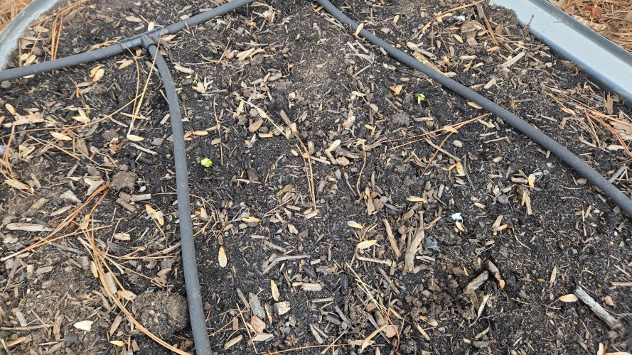 20260407_085952.jpg 20260407_085952.jpg