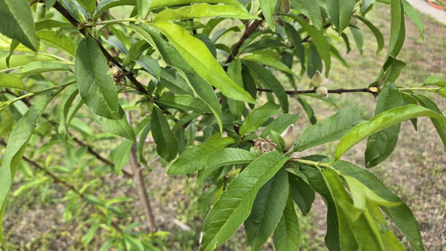 20260407_090016.jpg 20260407_090016.jpg