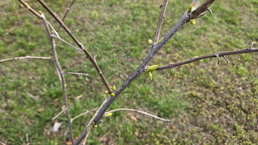 20260407_090055.jpg 20260407_090055.jpg