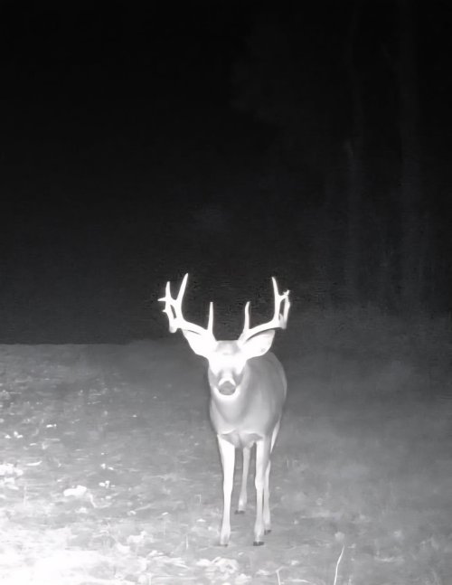 image000000.jpg image000000.jpg