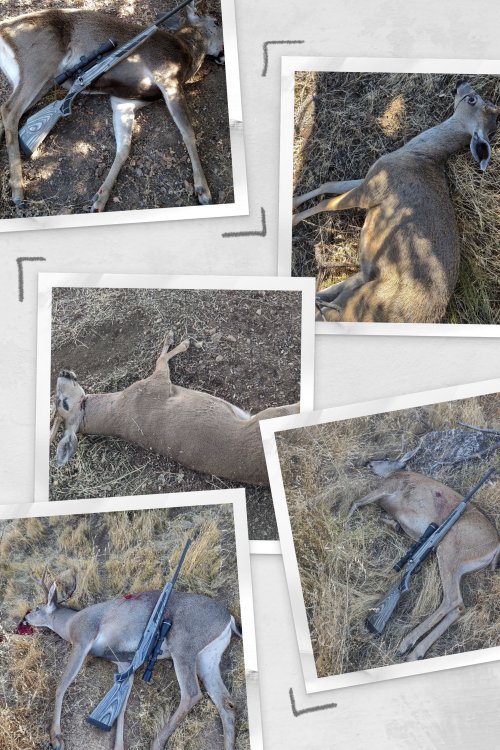 IMG_20230916_101619262-COLLAGE.jpg IMG_20230916_101619262-COLLAGE.jpg