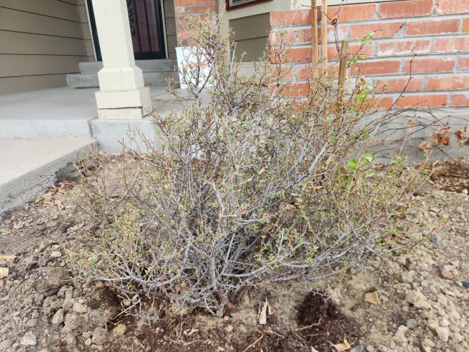 20260408_182359.jpg 20260408_182359.jpg