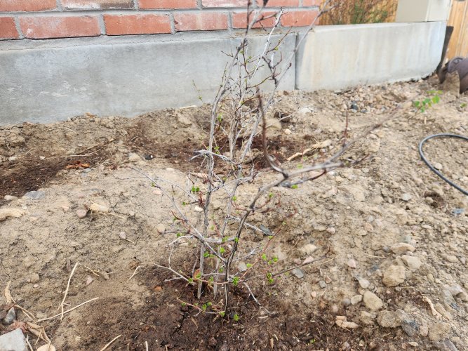 20260408_182408.jpg 20260408_182408.jpg