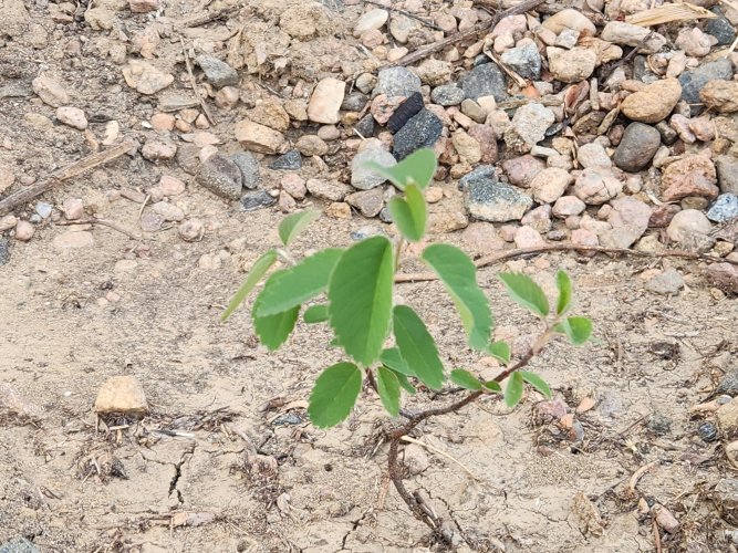 20260408_182417.jpg 20260408_182417.jpg