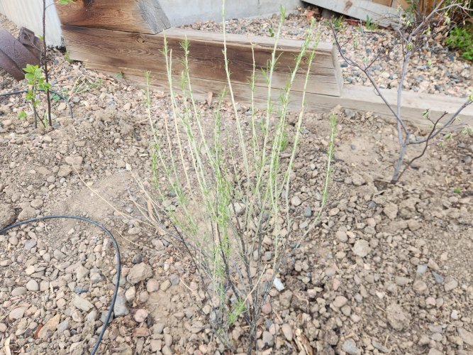 20260408_182431.jpg 20260408_182431.jpg