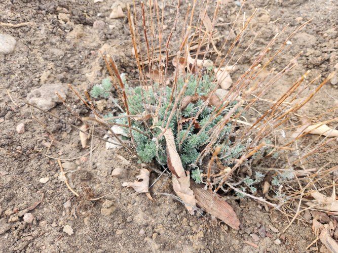 20260408_182446.jpg 20260408_182446.jpg