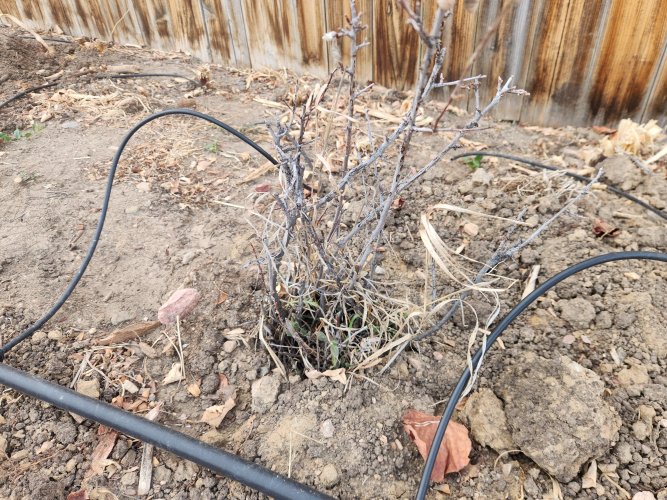 20260408_182450.jpg 20260408_182450.jpg