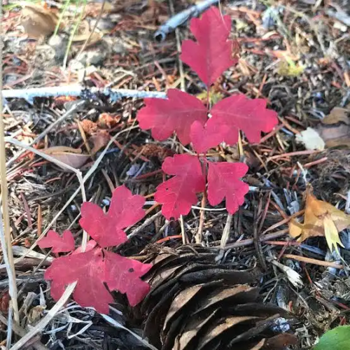 1775750852454.png 1775750852454.png