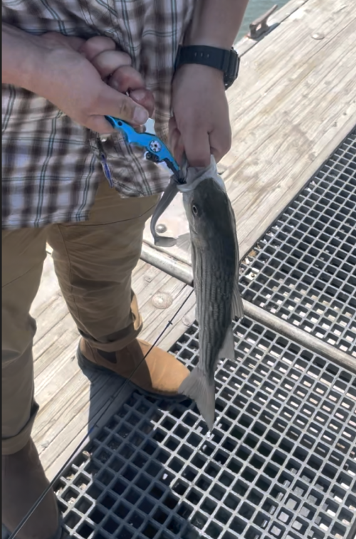 Screenshot 2026-04-09 at 10.43.25 AM.png