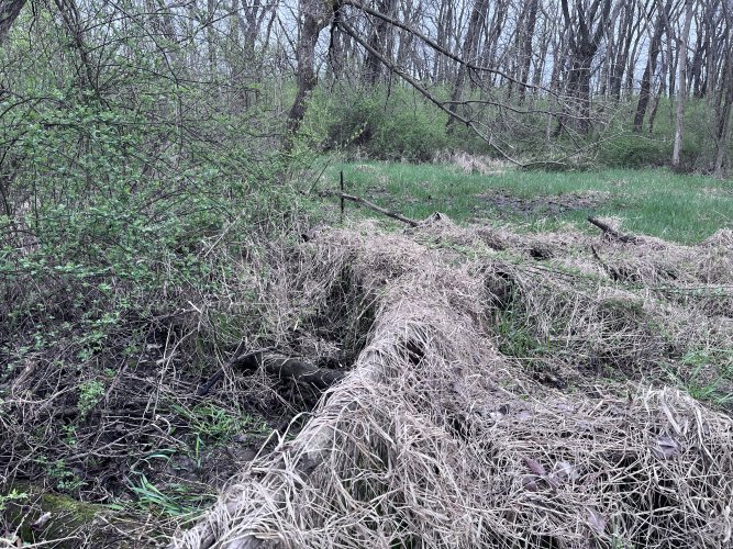 IMG_2705.jpeg IMG_2705.jpeg