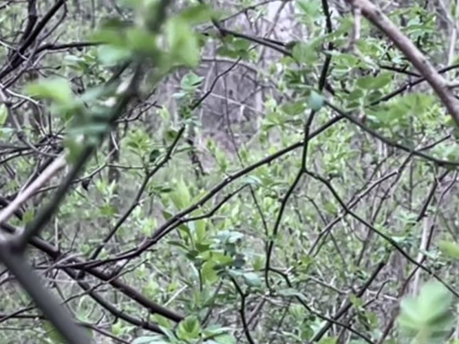 IMG_2703.jpeg IMG_2703.jpeg