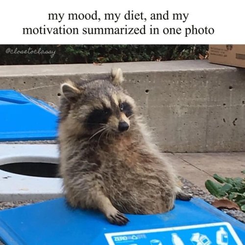 HFl5tQFakAAozkV.jpg