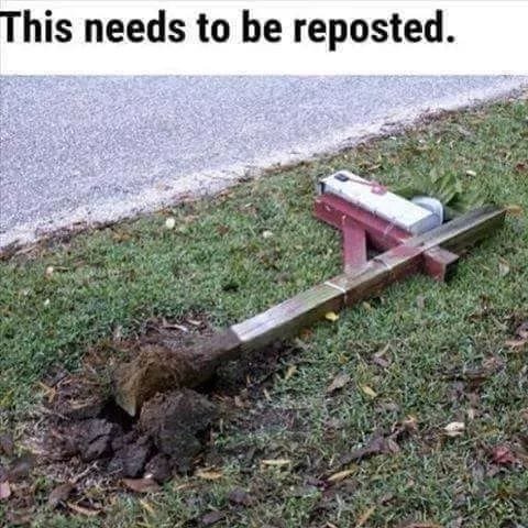 HFl5LqsakAAoZKH.jpg