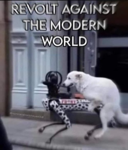 F1F9PboWwAQZddN.jpg