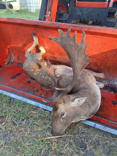 20260416_070907.jpg