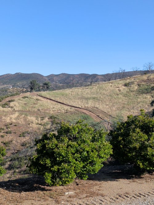 17763545415598748876616617730170.jpg 17763545415598748876616617730170.jpg