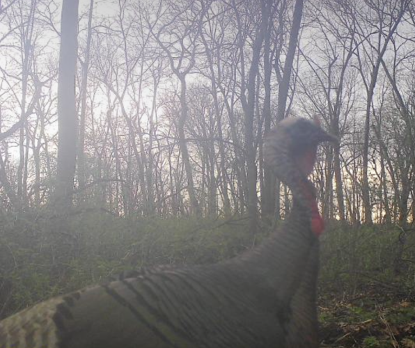 View recent photos.png