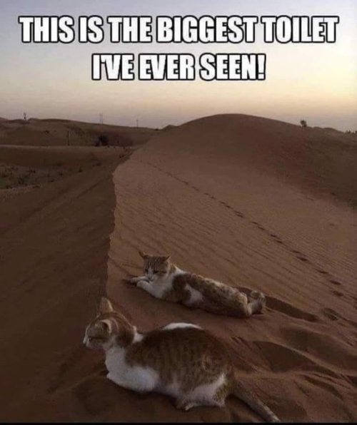 HF973elbEAAwafF.jpeg