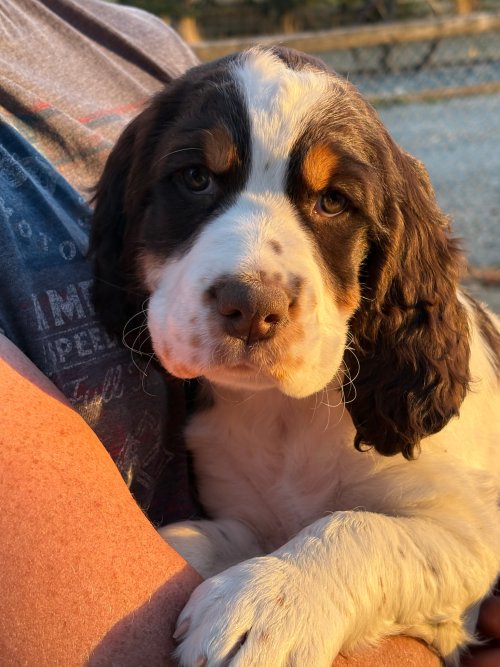 IMG_20260421_170423 (1).jpg