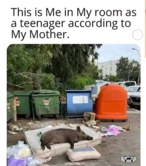 HF4a1L7aYAAqmnh.jpeg