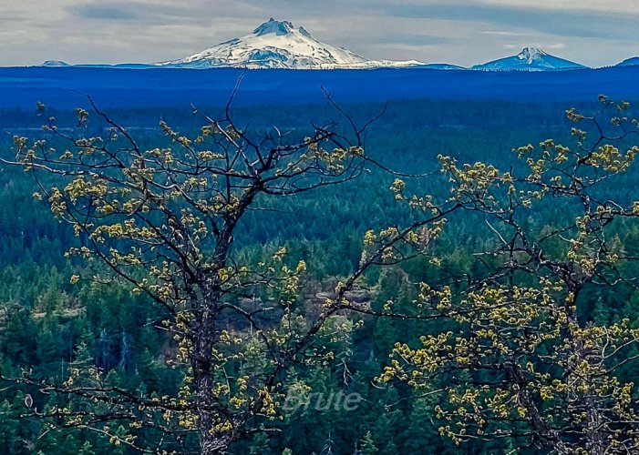 April 2026 a4-Cell Phone.jpg