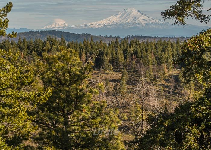 April 2026 a-6824.jpg