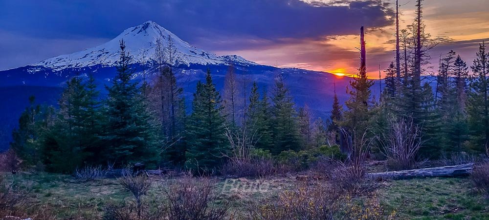 April 2026 a6-Cell Phone.jpg