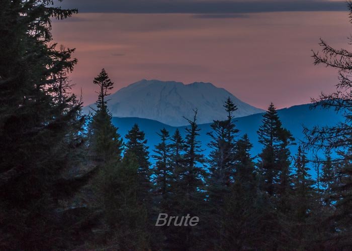 April 2026 a-6844.jpg