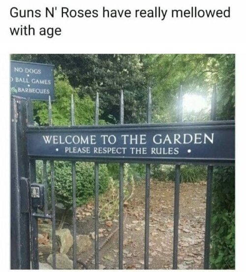 HGnrp62bIAAZ260.jpeg