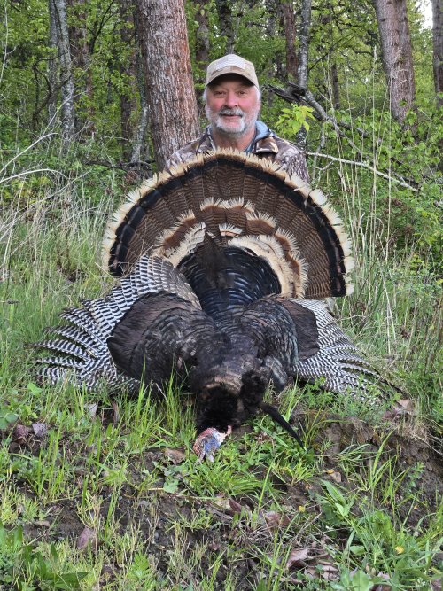 2026 OR Spring Turkey #1.jpg