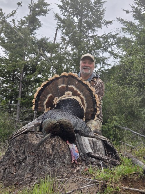 2026 OR Spring Turkey #2.jpg