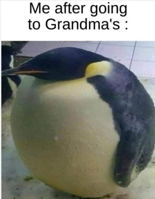 HGn1WZybsAAFnlj.jpeg